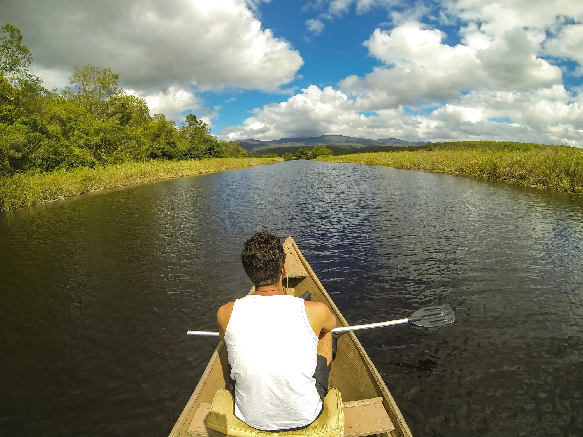 Marimbus: das bahianische Pantanal, das man mit dem Kanu durchquert